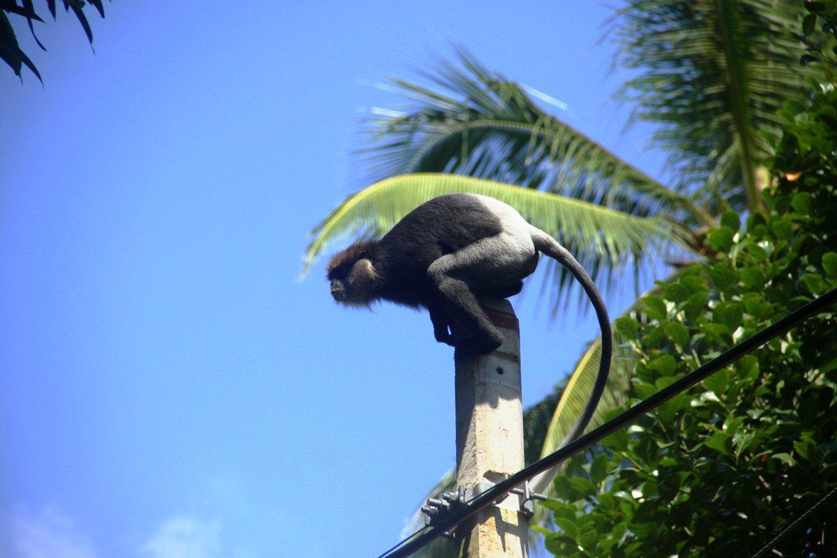 Villa Kaetana Lanka Unawatuna Esterno foto